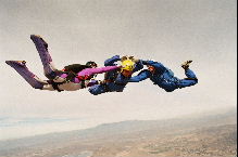 sky diving photo
