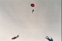 sky diving photo