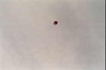 sky diving photo