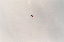 sky diving photo